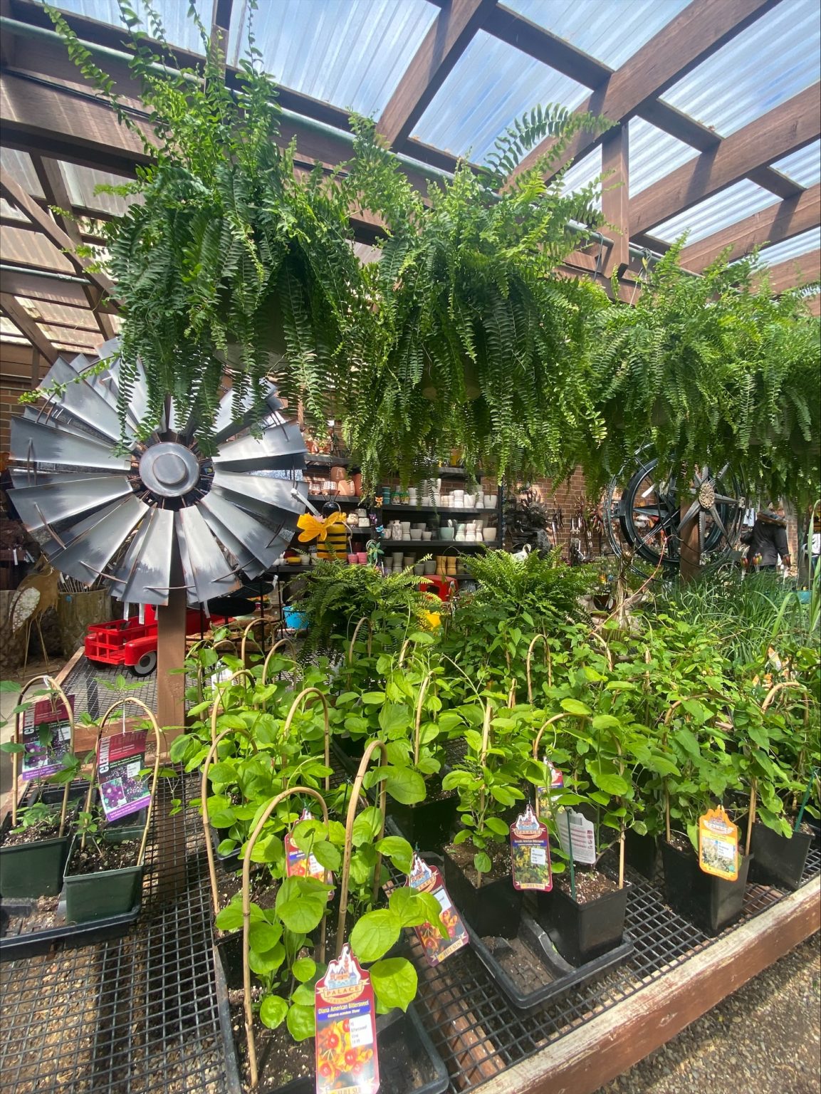 Garden Centre – Cindy's Garden
